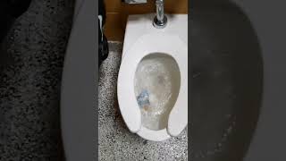 Cornerly clogged newer Kohler Kinston toilet