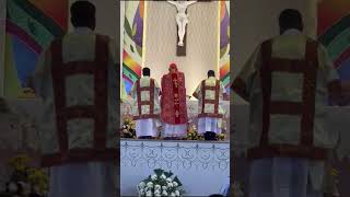 Cardinal Filipe Neri Ferrão presides over the mass for Priests and Religious #shorts