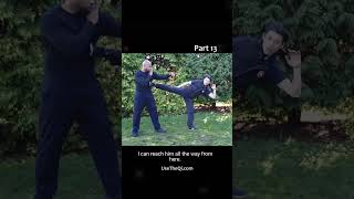 Wing Chun vs Mantis Kung Fu Techniques - Part 13 #shorts