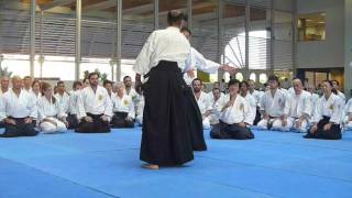 YOKOTA SHIHAN - SEMINARIO INTERNACIONAL DE AIKIDO - BRAZIL AIKIKAI - parte 2