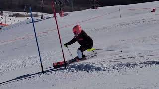 Ski race slalom 9