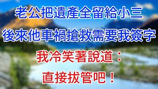 老公把遺產全留給小三，後來他出車禍搶救需要我簽字，我冷笑著說道：直接拔管吧！ #情感故事 #生活經驗  #為人處世  #老年生活#心聲新語