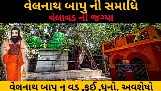 VELNATH BAPU VELAVAD NI JAGYA | BHAVNATH GIRNAR 2022 | VELNATH BAPU NI SAMADHI | GIRNARI BHOMIYO