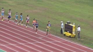 H29千葉県総体陸上大会　共通男子1500ｍ予選４組