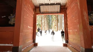 Amazing visit to Togakushi Shrine at Nagano, Japan.