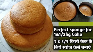 Sponge for 1\u00261/2kg cake 1\u00261/2किलो केक के लिये स्पांज कैसे बनाऐ perfect sponge for 1\u00261/2 kg cake