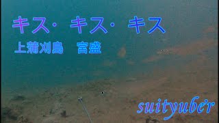 釣り人目線の水中動画　上蒲刈島　宮盛