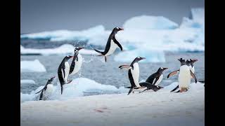 chapter04 Behind the Linux Curtain Demystifying File I O Buffering