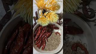 ।। ଦିନ ସରିଲା।।#viralvideo#ytshortsvideo#cooking#chilli#drychilli#cuminseeds#recipe#subscribe#like