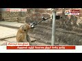 கேமரா முன் செல்ஃபி எடுத்துக் கொண்ட புத்திசாலிக் குரங்குகள் monkeyselfie srilanka