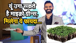 Microgreens से मिलते है 40 गुना ज्यादा न्यूट्रिशंस...