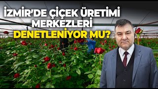 İzmir'de çiçek üretim merkezlerine denetim yapılıyor mu? Kazım Kış açıklıyor...