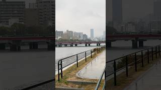 大雨の中、京橋川東岸、平野橋から数えて第一ベンチ、第二船着き場、第三船着き場まで。