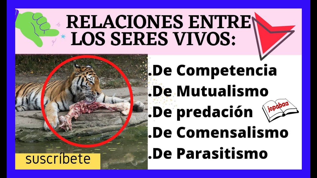 Las Relaciones Entre Los Seres Vivos: Competencia, Mutualismo ...