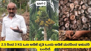 400 ಆಡಿಕೆ ಮರದಿಂದ 10 ಕ್ವಿಂಟಲ್ ಒಣ ಅಡಿಕೆ ಇಳುವರಿ #farming