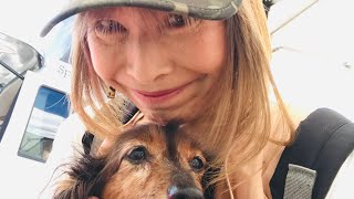 愛犬とお台場散歩！2019秋•お台場キャンピングカーイベントへ