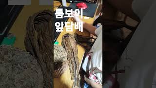 다빈이의 크리스마스 선물