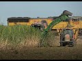 Blackberry Farms - 3 Different Model Combines In One Field 4K