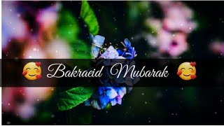 Bakraeid Mubarak || Whatsapp Status || Eid Ul Adha Status ||  Bakraeid Mubarak Status || Eid Ul Adha