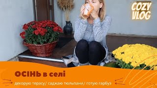 COZY VLOG🍂 ОРІЄНТАЦІЯ ОСІНЬ🍁 ДЕКОР🎃 РЕЦЕПТИ 🥘ПОСАДКИ🌷 МОТИВАЦІЯ🔥 МІНУСИ ЖИТТЯ В СЕЛІ🐁