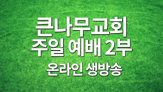 2021년 10월 24일 큰나무교회 주일 예배 2부 - 온라인 방송