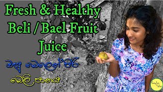 Fresh and Healthy Beli / Bael Fruit Juice | ඔසු බෙලෙන් පිරි බෙලි පානය | Fruits | Sri Lanka