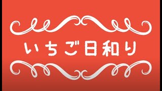 いちご日和り・いちごボンボン（小山市）