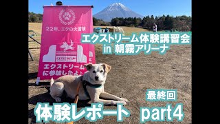 ドッグスポーツ【エクストリーム】体験講習会レポートpart④最終回〜練習走行→タイムトライアル→表彰式〜