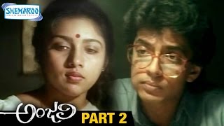 Anjali Telugu Full Movie | Tarun | Shamili | Mani Ratnam | Ilayaraja | Part 2 | Shemaroo Telugu