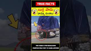 Burra paadu vinthalu explained #factsintelugu 😱బుర్ర పాడు😱 #amazingfacts #truefacts #shorts