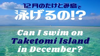 12月の竹富島で泳げるの !? 超絶美しいコンドイビーチで検証してみた !!  沖縄は本当に常夏なのか !? #233  移住生活 田舎暮らし 八重山 石垣島 西表島 小浜島 絶景 秘境 冬 真冬