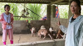 When Xiaofeng came to the pig farm for the first time, her sister asked Xiaofeng to enter the pigpen