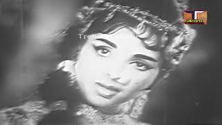 Thotalo Pilla Kotalo Rani Movie Songs|పాలవంటి పడుచూధనం| మెలోడీ సాంగ్|విజయ లక్ష్మి|ట్రెండ్జ్ తెలుగు