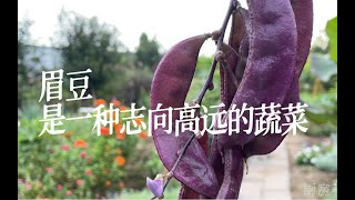 在眉豆面前，什么样的吃货都是战五渣～