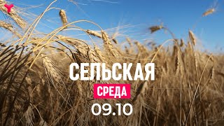 Сельская среда | 09.10.2024