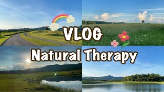 EP24 : VLOG Natural Therapy 🍃🍀 เสพธรรมชาติที่สิงห์ปาร์ค (ไร่บุญรอด) เชียงราย