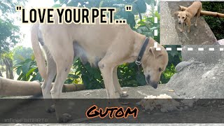 kawawa naman sya..|#viralvideo #animallover #byahengprobinsya