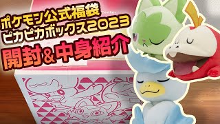 【ポケモン福袋】ピカピカボックス2023が当たって嬉しいから開けるだけ【開封動画/実写】