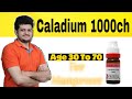 POWERFUL Caladium 1000 | A Homeopathic Medicine for Men power | How to Use