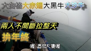 再次來去定置漁網 沒想到咬整天都沒休息 我跟施泰泰兩人不間斷一直拉 拚年終獎金了