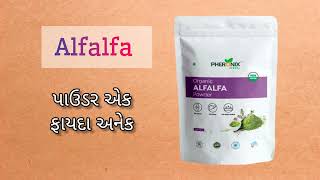 Alfalfa Powder Benefits | PHERONIX HERBAL