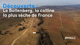 Découverte : le Bollenberg, la colline la plus sèche de France