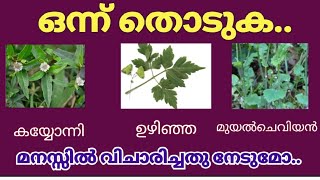 മനസ്സിൽ ആഗ്രഹിച്ച കാര്യം സാധിക്കുമോ..വിരോധികൾ അകലുമൊ.. തൊടുകുറി വായിക്കുക