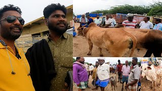 21 09 2024 VANIYAMBADI COWMARKET PART 1