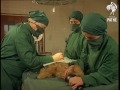 animal hospital beware other colour pics share this title 1968