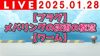 【プラグ】メバリングの技術の極意【ワーム】