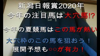 【競馬】 新潟日報賞2020 展開予想と予想！ 今年は大穴枠も期待出来るので今回は荒れ馬を買おう！