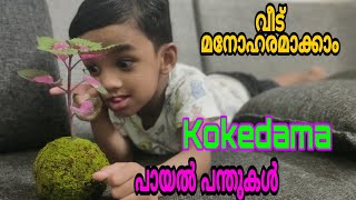 Kokedama | പായൽ പന്തുകൾ ഉണ്ടാക്കാം |ഒരു രൂപ ചിലവില്ലാതെ വീട് മനോഹരമാക്കാം |