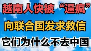 越南人快被“逼瘋”，向聯合國發求救信：它們為什么不去中國