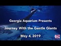 Journey With the Gentle Giants! Dylan and I dive the Georgia Aquarium 5/4/19